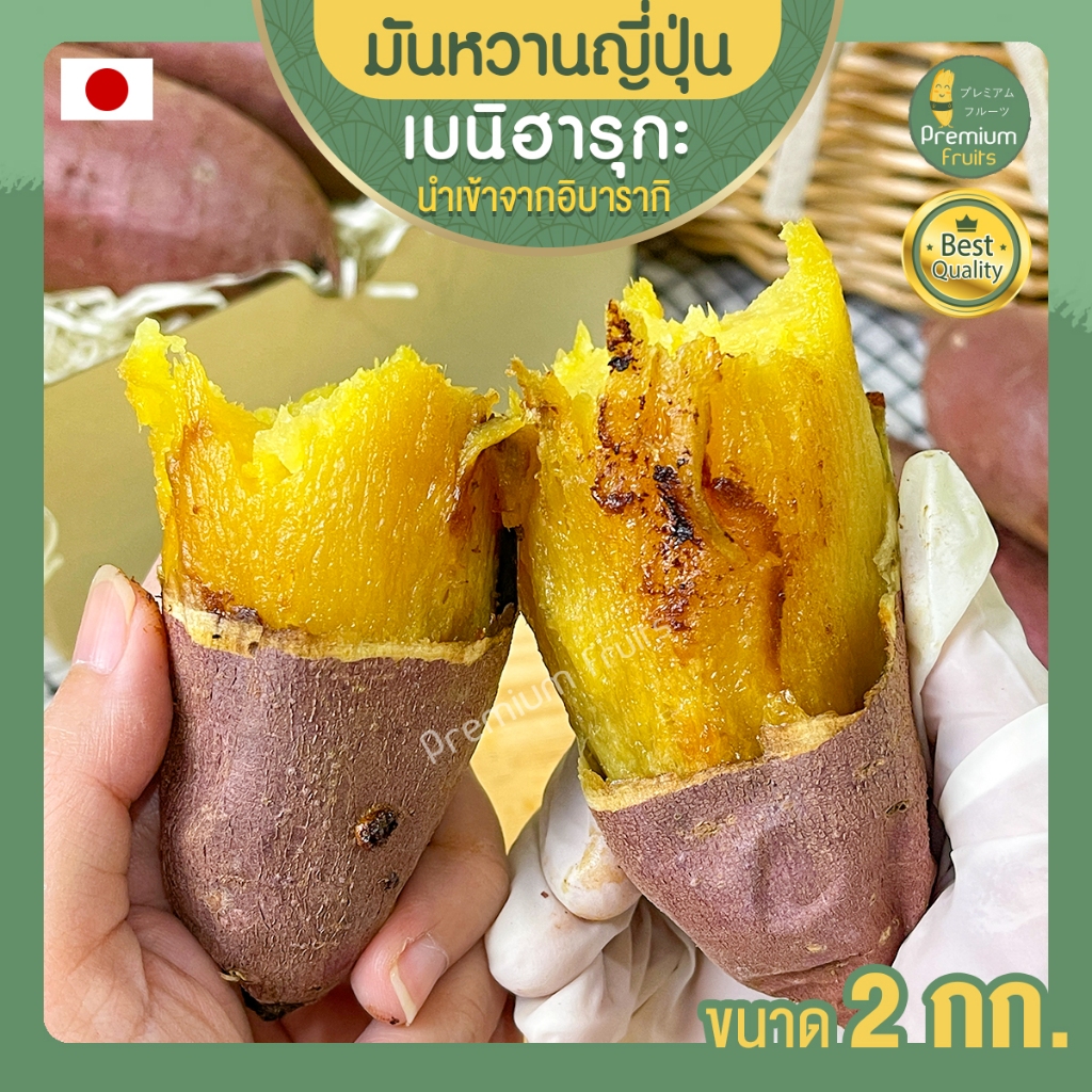 มันหวาน มันหวานญี่ปุ่น เบนิฮารุกะ ขนาด 2 kg. beni haruka มันญี่ปุ่น มันญี่ปุ่นแท้ มันญี่ปุ่นเบนิฮารุกะ มันญี่ปุ่นหวาน