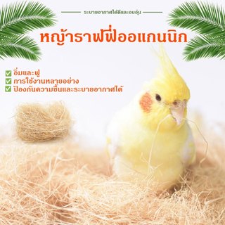 นำเข้า หญ้าราฟฟี่ออแกนนิก รังนอน กระรอก หนู นก หญ้านุ่ม หญ้ารองกรง อบอุ่นในฤดูหนาว เย็นในฤดูร้อน