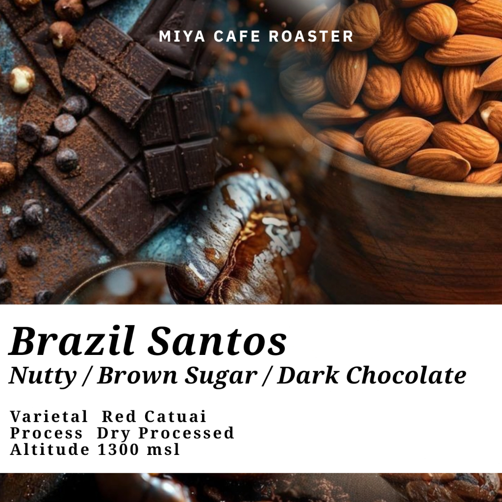 Brazil Santos เมล็ดกาแฟคั่ว บราซิล ซานโตส Coffee Beans by Miya Cafe Roaster คั่วกลาง คั่วเข้ม บดได้