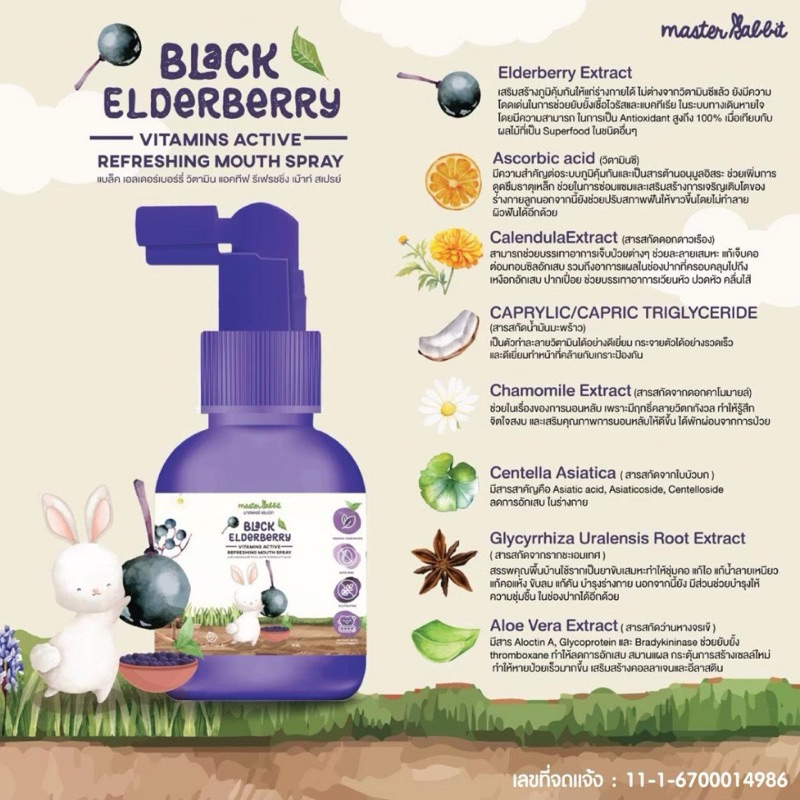 แบล็กเอลเดอร์เบอร์รี่ สเปรย์ สำหรับเด็ก Master Rabbit Black Elderberry Vitamins Active Refressing Mouth Spray ราคา ถูกที่สุด ดีลบีเคเค แกลเลอรีภาพที่ 6