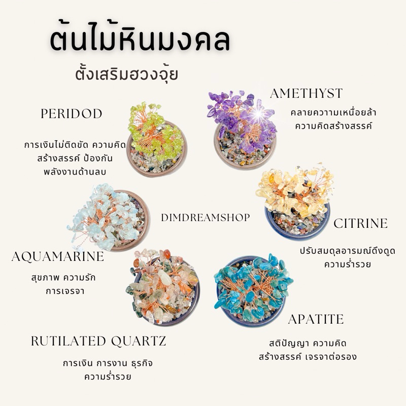 Dreamis -  ต้นไม้หินมงคลเสริมฮวงจุ้ย ตั้งโต๊ะทำงาน