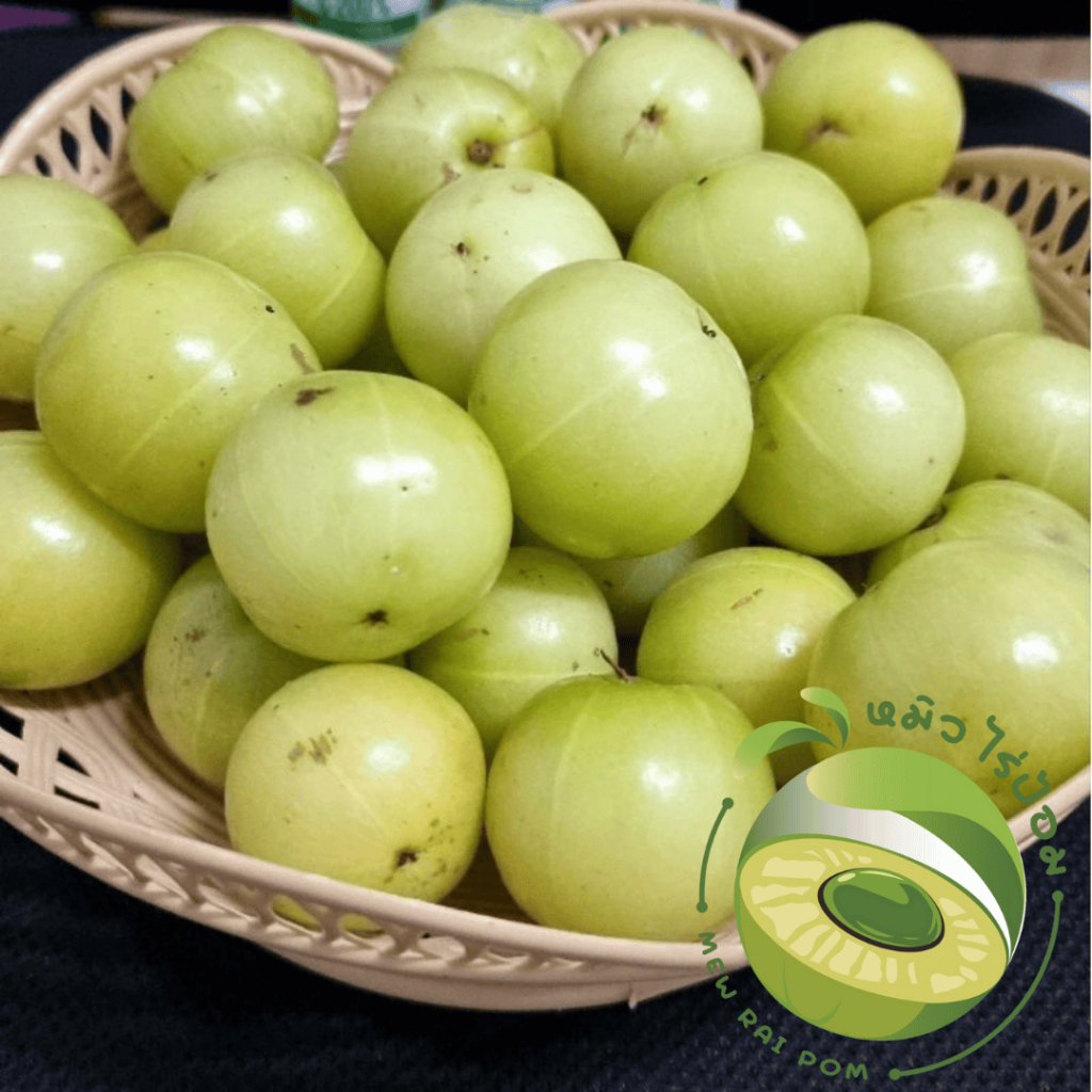 [1 kg] มะขามป้อมยักษ์ สดจาก หมิว ไร่ป้อม