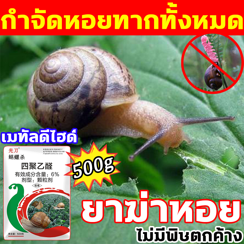 เห็นผล100% เหยื่อกำจัดหอย 500g เมทัลดีไฮด์ 6% กำจัดหอย กำจัดหอยทาก เมทัลดีไฮด ยาหอย หอยศัตรูพืช ปลอดภัยต่อคน ยาฆ่าหอย