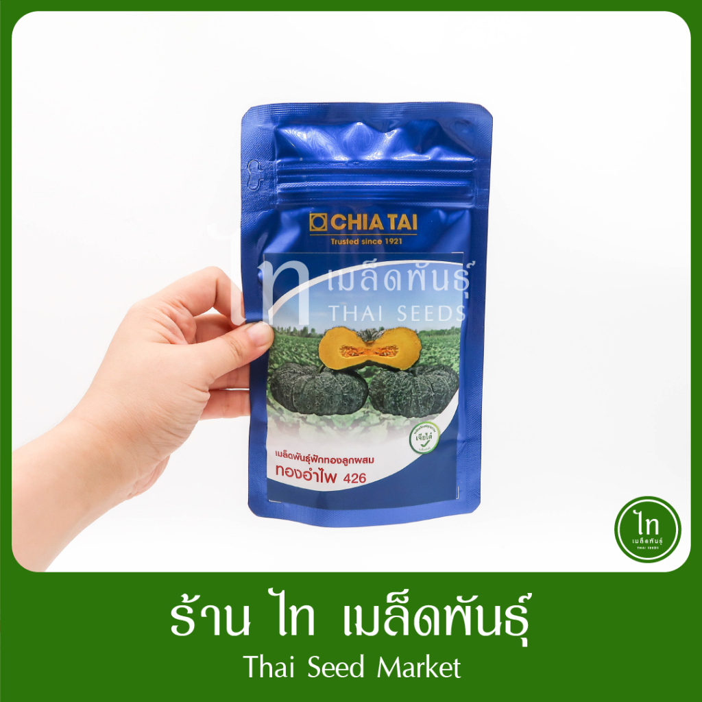 ฟักทอง ทองอำไพ 426 เมล็ดพันธุ์ ฟักทอง ลูกผสม ตรา เจียไต๋ บรรจุ 1000 เมล็ด