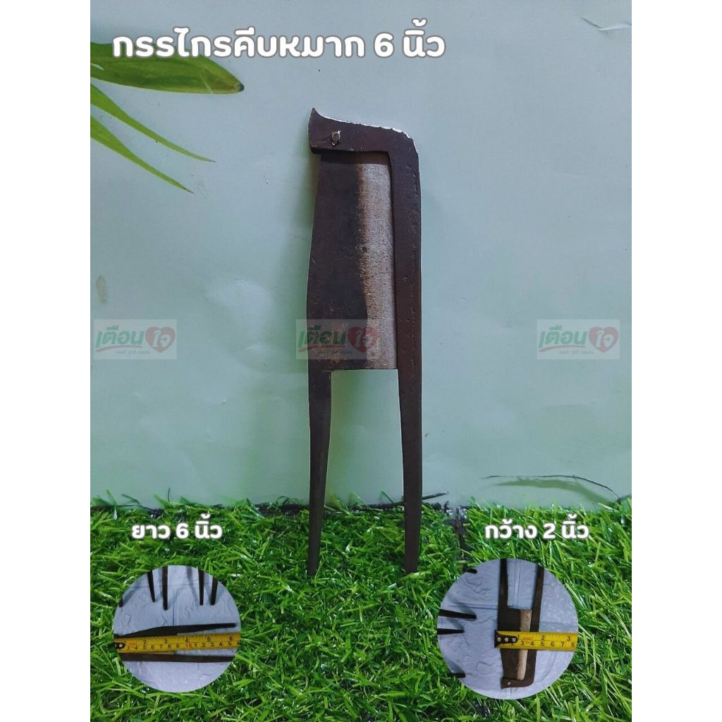 กรรไกรคีบหมาก กรรไกรตัดหมาก (อยุธยา) (ขนาด 6