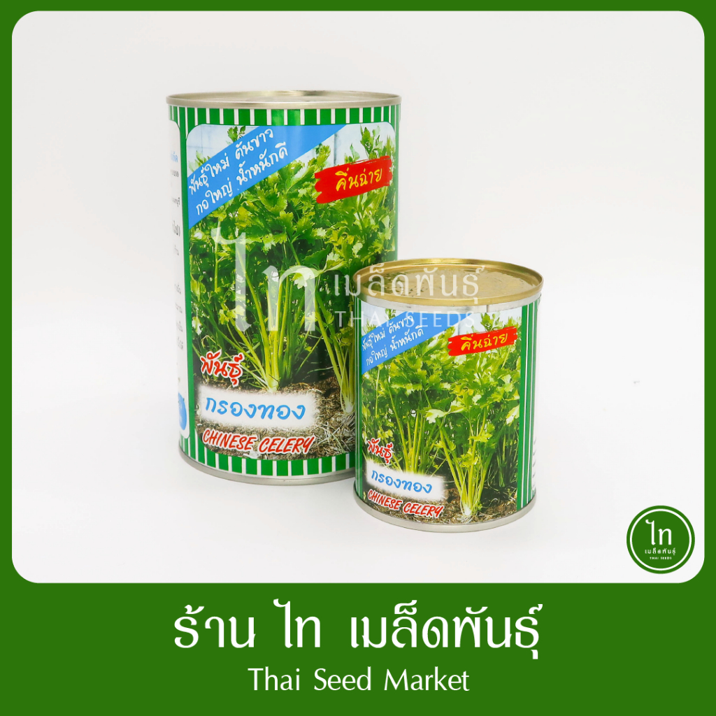 คื่นฉ่าย กรองทอง เมล็ดคื่นฉ่าย ขึ้นฉาย เมล็ดพันธุ์ คื่นฉ่าย ตรา ปลาทอง บรรจุ 300 / 50 กรัม