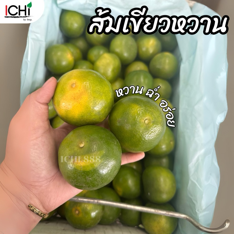 ส้มเขียวหวาน หวาน ฉ่ำอร่อย ไซส์ใหญ่ลูกสวย