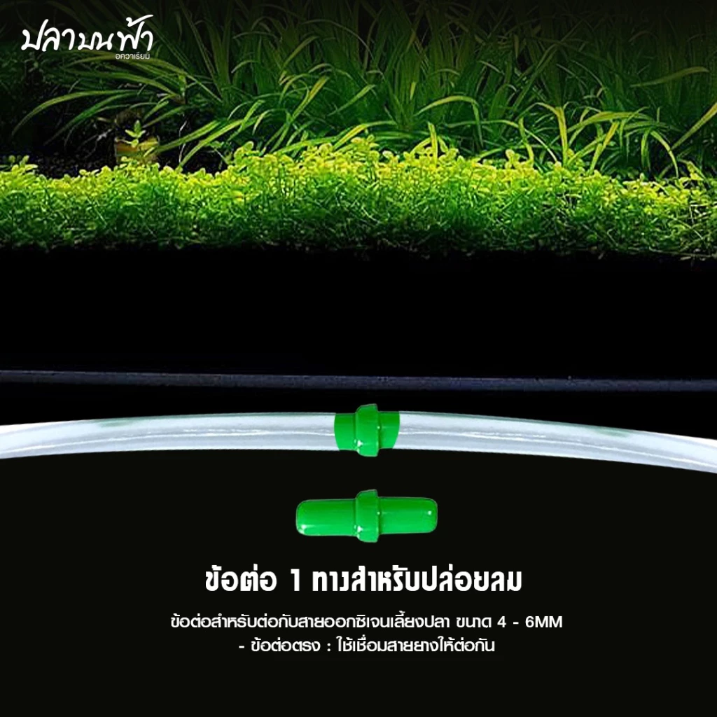 ข้อต่อ MS ROYAL สายยางเลี้ยงปลา ต่อตรง-สามทาง-สี่ทาง ทนทาน thumbnail 4