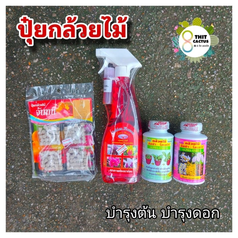ปุ๋ยกล้วยไม้ golden flowers อัลฟ่าโอเมก้า จันทนี // เร่งดอก เร่งสี กล้วยไม้