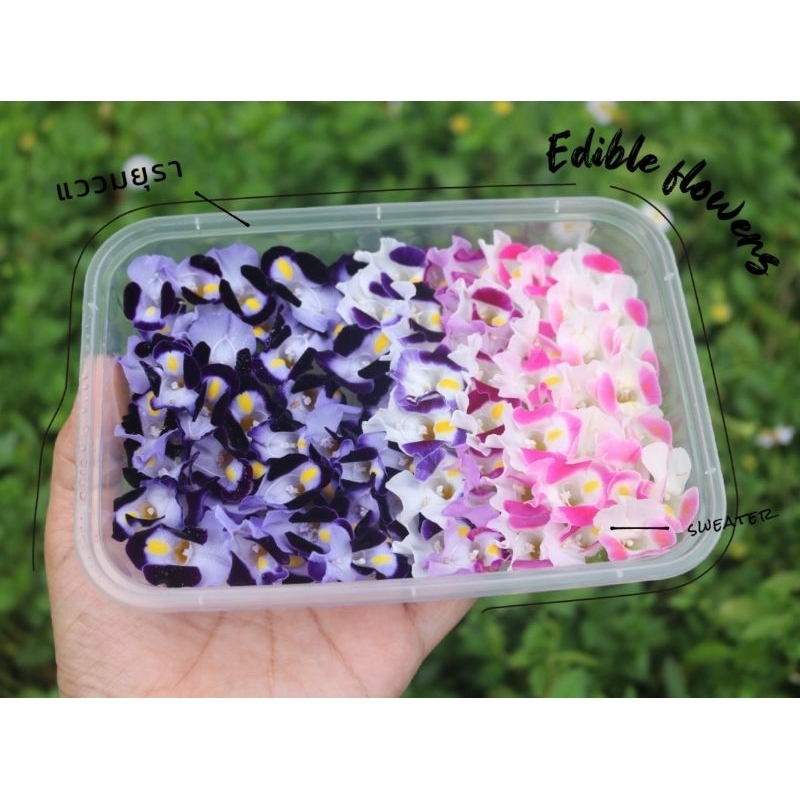 Edible Flowersเมล็ดดอกไม้กินได้ แววมยุราคละสี 100เมล็ด 39บาทแถมฟรีพีชมอส