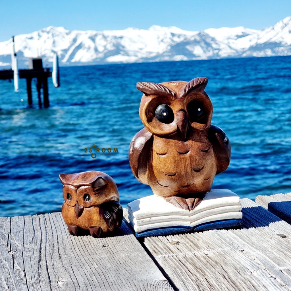 25C Room นกฮูกแกะสลัก: นกฮูกคู่