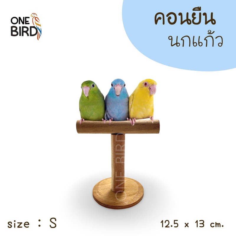 พร้อมส่ง คอนยืนนกเล็ก ของเล่นนก คอนสำหรับนกแก้ว คอนยืนไม้ธรรมชาติ