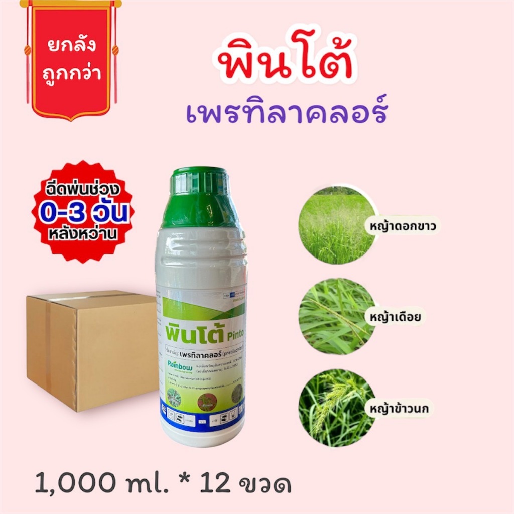 ยกลัง พินโต้ - เพรทิลาคลอร์ 30% ยาคุมเลน ข้าวไม่แดง ไม่งัน อายุ 0-3 วัน