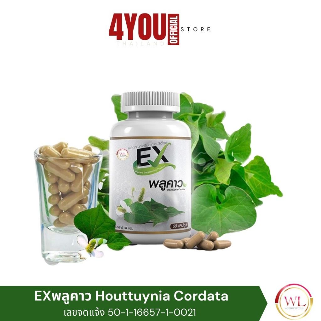 EX พลูคาว Wonderfullife EX Houttuynia Cordata เบต้ากลูแคน มะขามป้อม บำรุงปอด ระบบหายใจ ไอ ภูมิแพ้