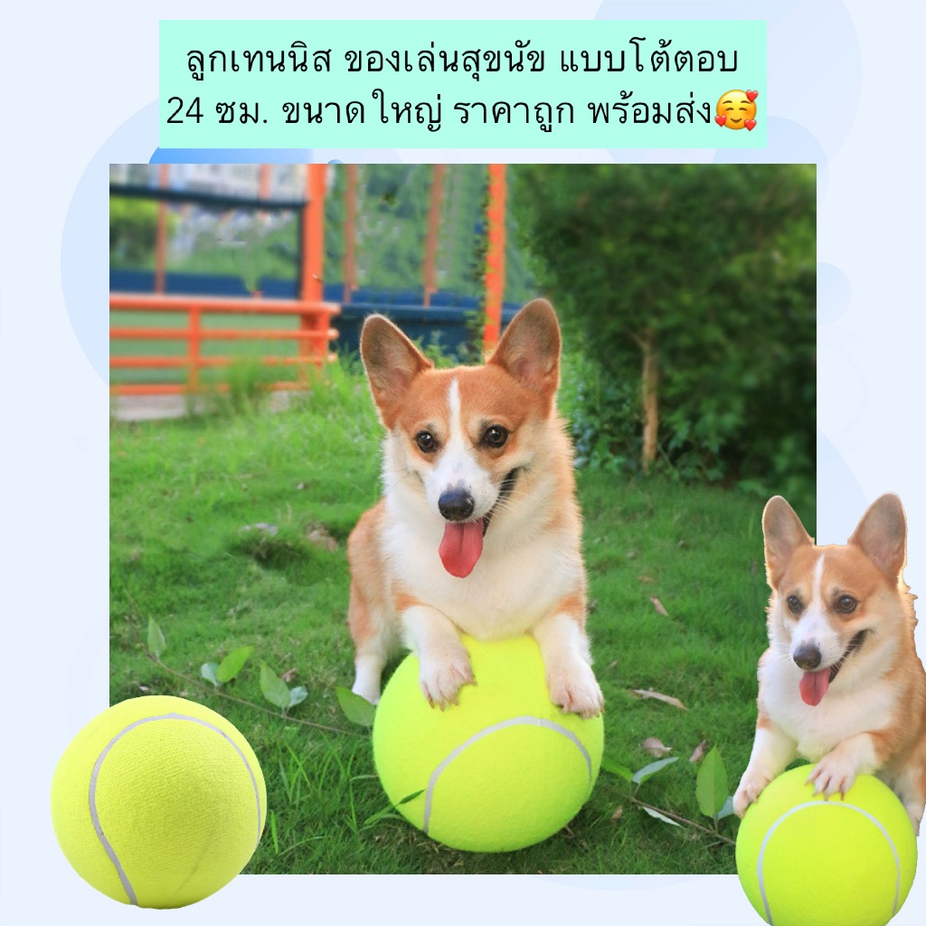 MG-1231 ลูกเทนนิส ขนาดใหญ่ 24 ซม. ของเล่นโต้ตอบสำหรับสุนัข ราคาประหยัด คุณภาพดี พร้อม