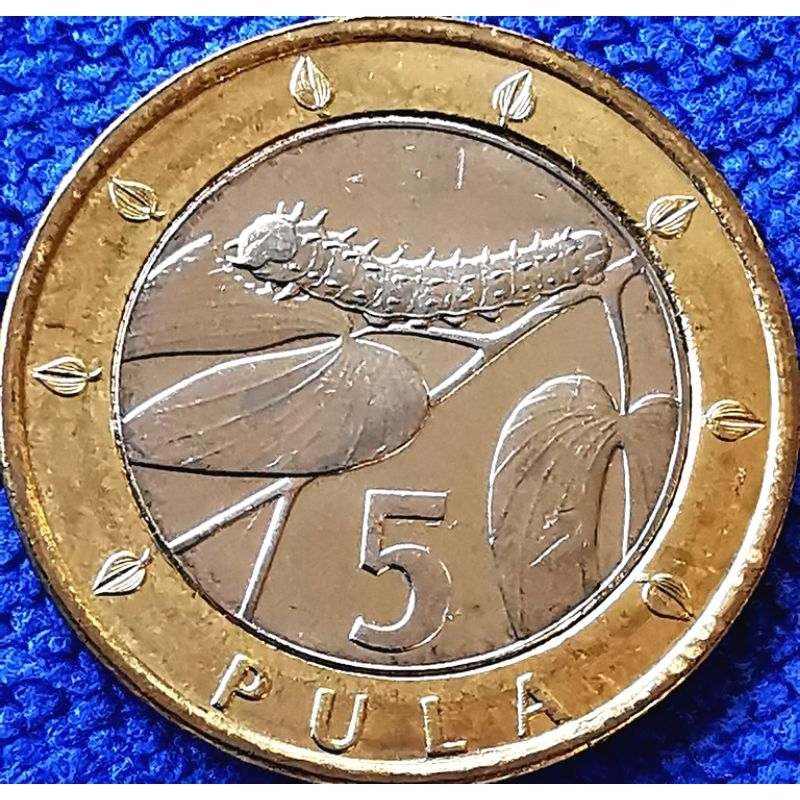 เหรียญ​บอตสวานา​ Botswana, 5 Pula,​ ไม่​ผ่าน​ใช้​ UNC, #​4546