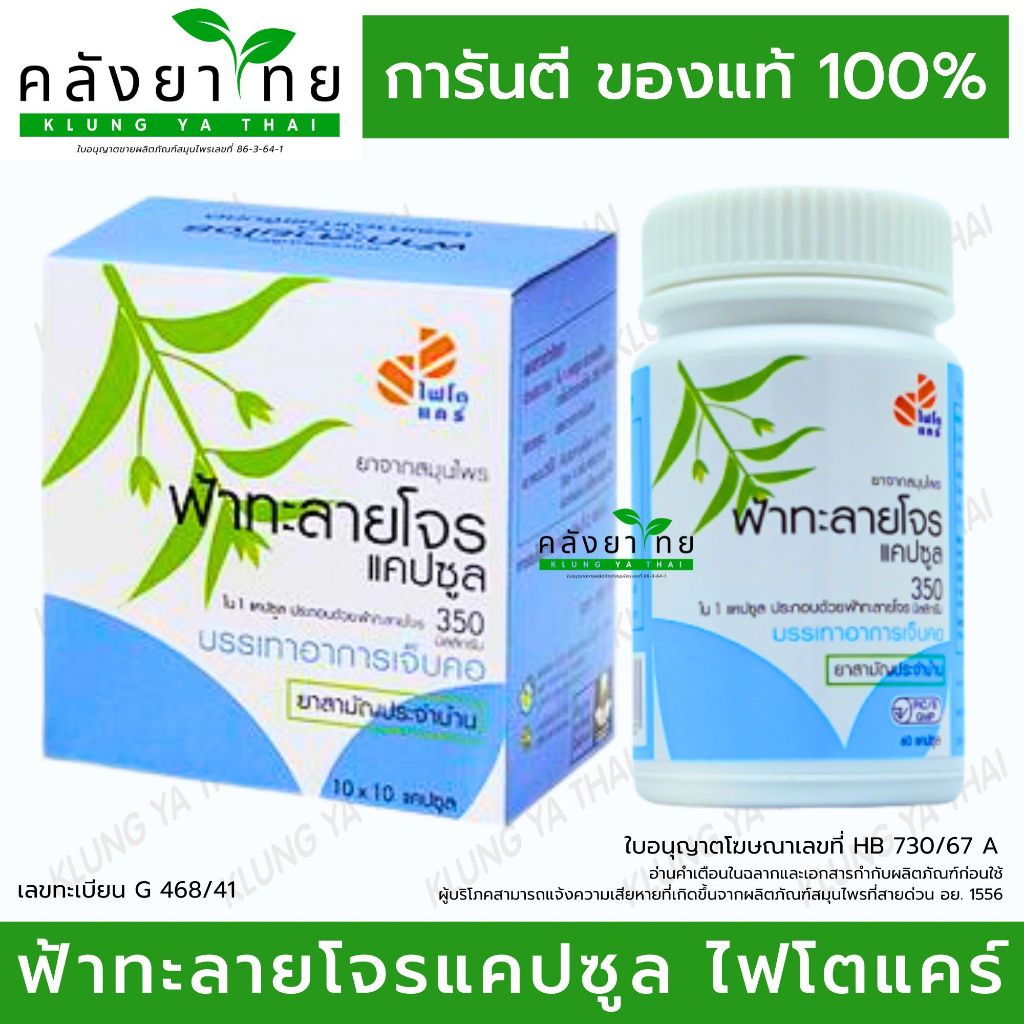 Phyto Care ฟ้าทะลายโจรแคปซูล 350 mg. ไฟโตแคร์ GPO ฟ้าทะลายโจรองค์การเภสัชกรรม