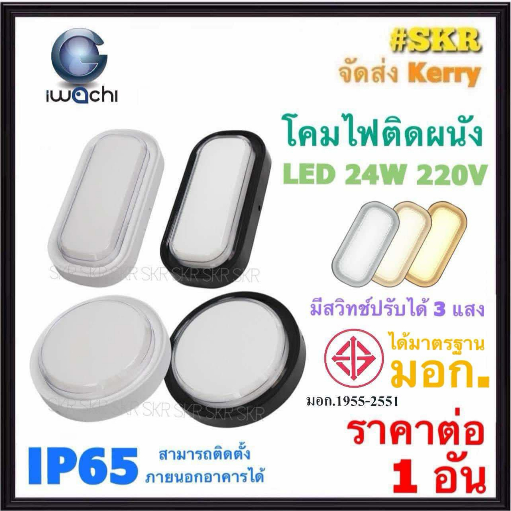 IWACHI โคมไฟติดผนัง กันน้ำ IP65 LED 24W ( 3แสง ) ทรงกลม ทรงรี ขอบขาว/ดำ โคมเพดาน โคมผนัง