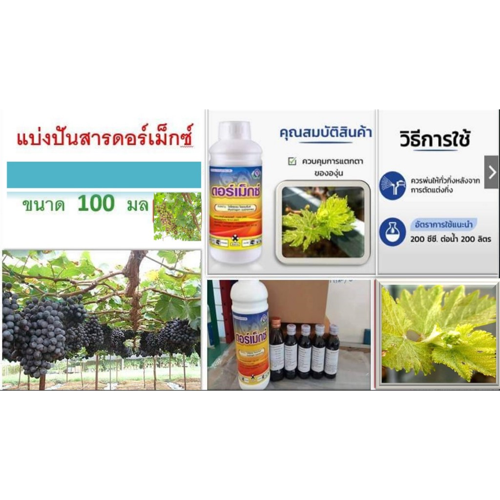 แบ่งสารดอร์เม็กซ์ ขนาด 100 ซีซี