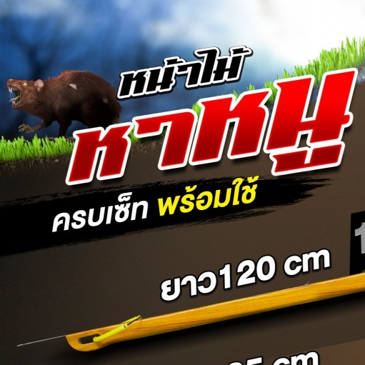 อุปกรณ์หาหนู ท้ายไม้สัก (ยาง1 ลูกดอก1)
