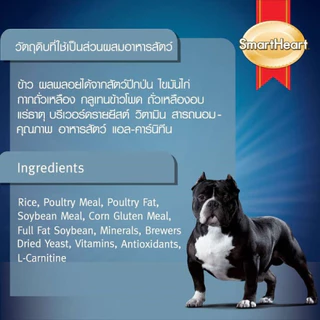 [กระสอบใหม่ 11/2027] Smartheart Power Pack อาหารสุนัข สมาร์ทฮาร์ท พาวเวอร์แพ็ค สุนัขโต ลูกสุนัข พันธุ์เล็ก 20kg