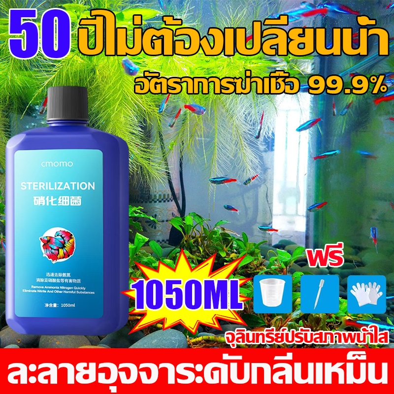 แบบเข้มข้น จุลินทรีบ่อปลา น้ำยาปรับสภาพน้ำ 1050ml ดับกลิ่นเหม็น และปรับปรุงคุณภาพน้ำบ่อเลี้ยงสัตว์น้ำ จุลินทรีบ่อปลา