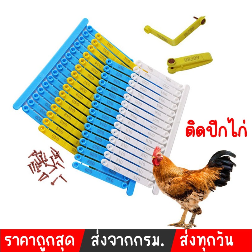 กิ๊ปติดปีกไก่ กิ๊ฟติดปีกไก่พร้อมตัวเลข กิ๊ฟติดปีกไก่ชน ติดปีกไก่ สีฟ้า สีเหลือง ทำประวัติ