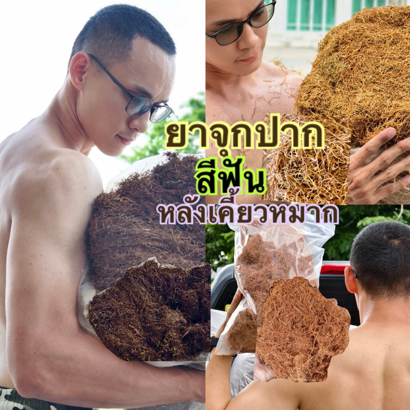 ยาสีฟันยาจุกเหงือกและเปลือกไม้ฝอย 50กรัม60  บาท