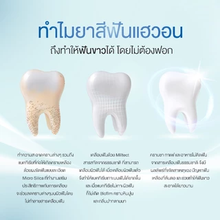 [แพ็ค5แนะนำ] ยาสีฟันแฮวอน สูตรปากหอมสีเขียว สูตรฟันขาว สีฟ้า ขนาด 80g. ผสมน้ำยาบ้วนปาก ฟลูออไรด์ป้องกันฟันผุ