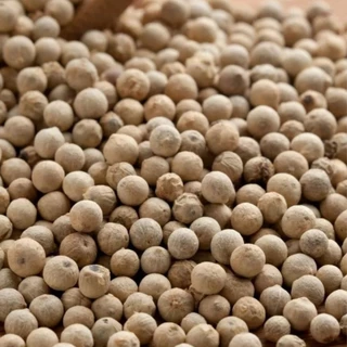 พริกไทยเม็ดดำ-ขาวจันทบุรี (หอมๆ) ผสมเกลือชมพู ไม่เค็ม คีโตทานได้ 100g ขวดฝาบด