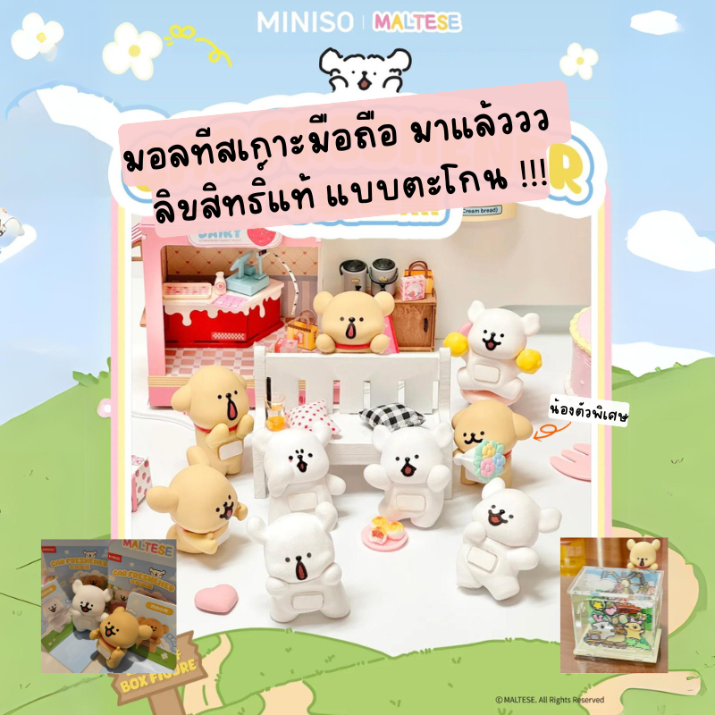 [พร้อมส่ง] สุ่ม ตัวเกาะจอคอม เกาะมือถือ maltese miniso มาใหม่ น่ารักมากก