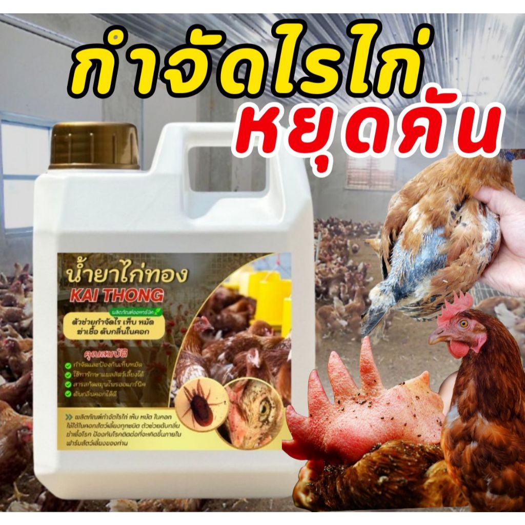 น้ำยาลดอาการคัด ป้องกันขนร่วง กำจัดไรไก่ เห็บ หมัด ออแกนิค ปลอดภัยต่อสัตว์เลี้ยงและผู้ใช้ น้ำยาไก่ทอง
