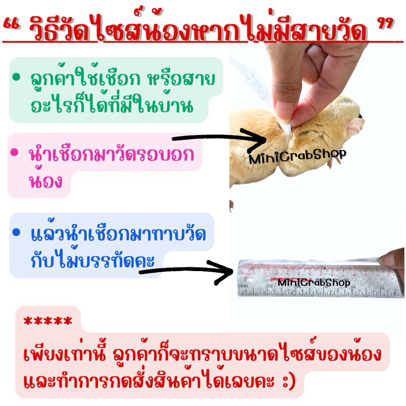 ชุดชูก้า กระรอก สัตว์เลี้ยงขนาดเล็ก เจ้าหญิง [ชุดที่ 4] - รูปที่ 2