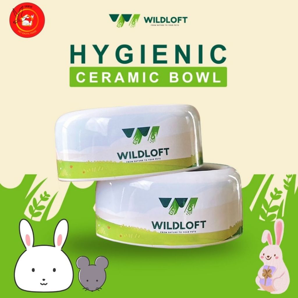 Wildloft Hygienic Ceramic Bowl 2 แบบ (ชามอาหาร มีรูและไม่มีรู)