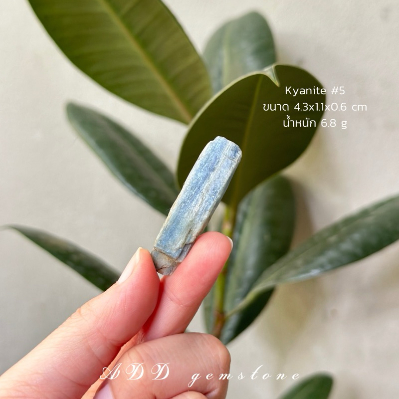 Kyanite | ไคยาไนต์ #5 🪼 #หินดิบ หินปลดหนี้ ขจัดพลังงานไม่ดี - ADD gemstone