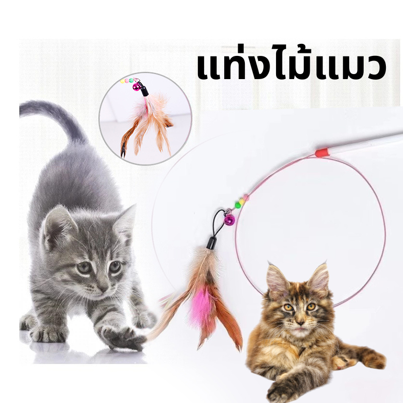 ไม้ตกแมว ของเล่นแมว ไม้แมว ไม้ล่อแมว ขอเล่นแมว ของเล่นเเมว หลากหลายสไตล์ ไว้ล่อแมว คลาดเครียดคลายเหงา
