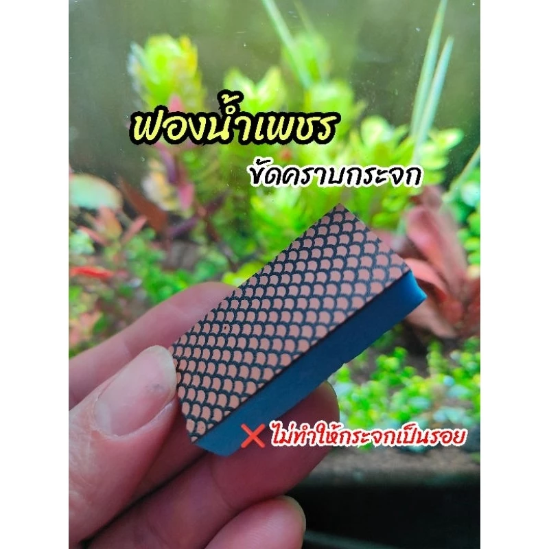 💘ท้าให้ลอง❤️ที่ขัดคราบกระจกตู้ปลา ไม่ทำให้กระจกเป็นรอย นำเข้าจากญี่ปุ่น