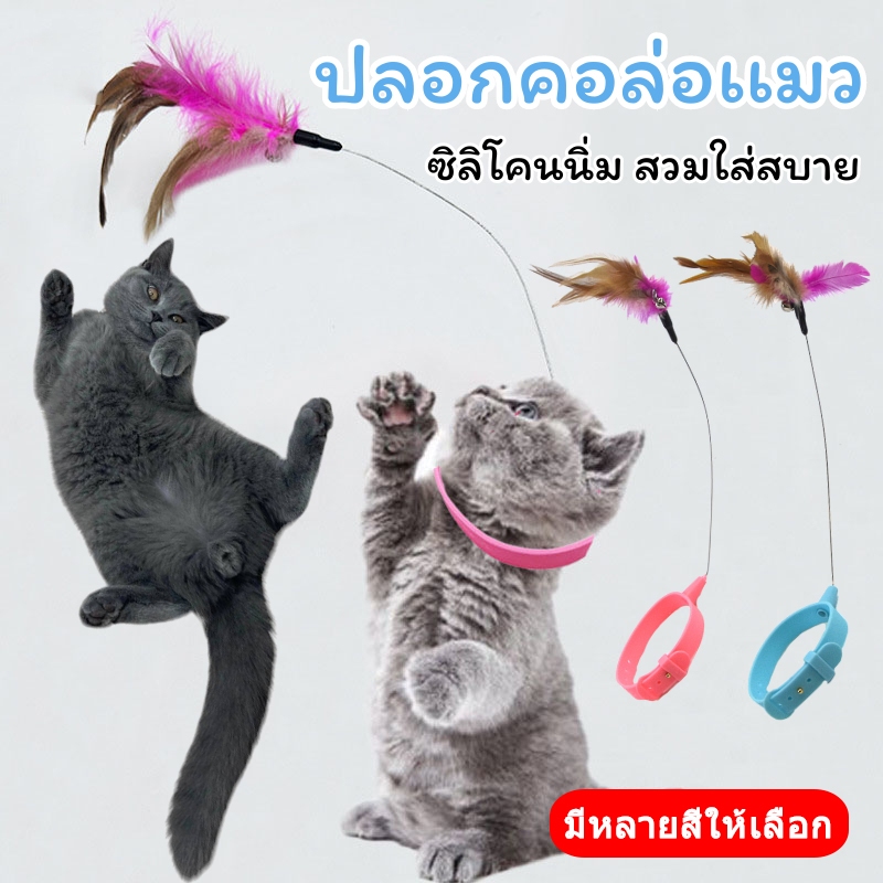 ปลอกคอล่อแมว ไม้ตกแมว ไม้ล่อแมว กระดิ่งและขนนกบนปลอกคอสามารถดึงดูดแมวได้