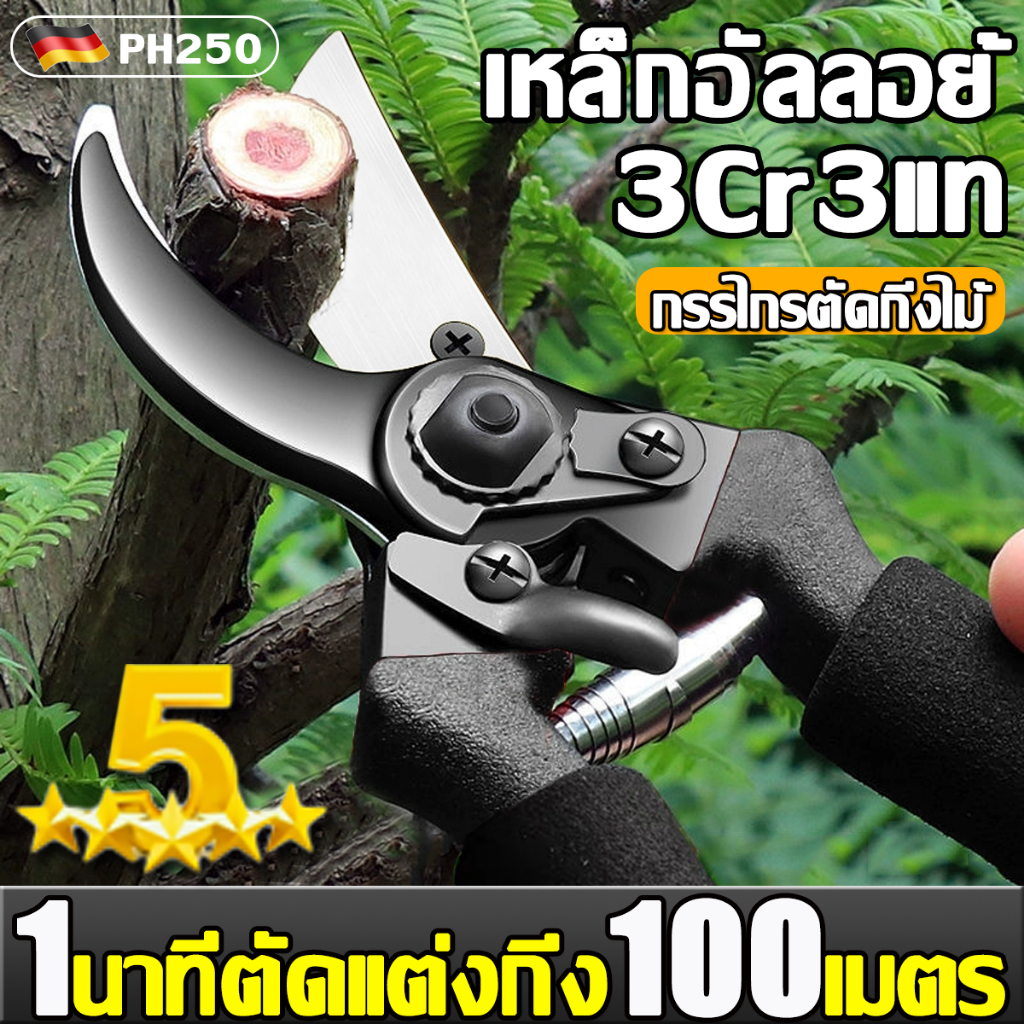 วัสดุสแตนเลส กรรไกรตัดกิ่งไม้ 3Cr13 คีมตัดกิ่งไม้ คีมตัดกิ่ง กรรไกรตัดกิ่ง คีมตัดกิ่งโซโล กรรไกรตัดหญ้า ตะขอตัดกิ่งไม้