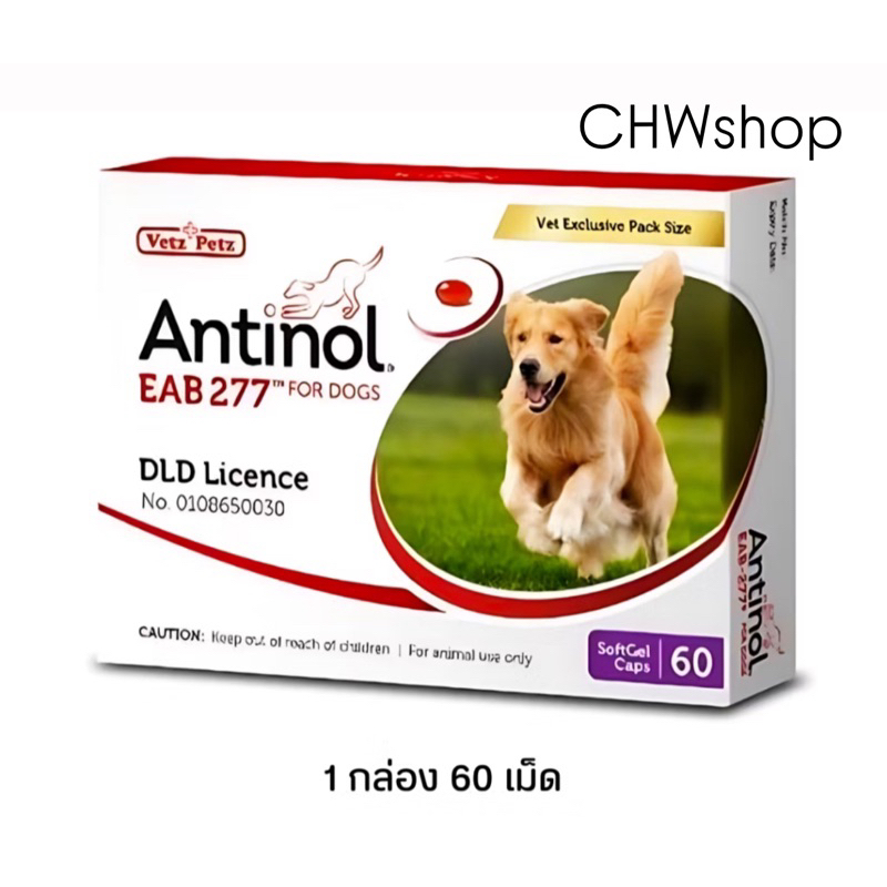 Antinol For Dog ของแท้💯% อาหารเสริมสารสกัดบำรุงข้อสุนัข