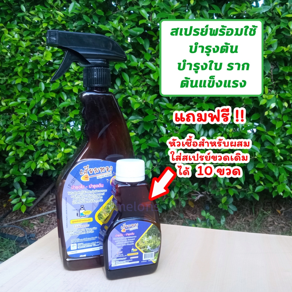 ปุ๋ยน้ำสเปรย์พร้อมใช้ 500ml สูตรบำรุงใบ บำรุงต้น ราก (ตราเสียมทอง) !!แถมฟรีหัวเชื้อสำหรับผสมใส่สเปรย์ขวดเดิมได้ 10ขวด
