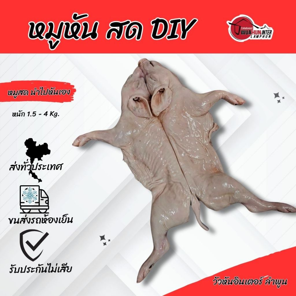 หมูหันสด วัตถุดิบสำหรับนำไปหัน หรือปิ้งย่างเอง DIY ขนาดไซส์ 1.5-4 Kg. ส่งกับขนส่งรถห้องเย็นถึงหน้าบ้านคุณ ทั่วประเทศ