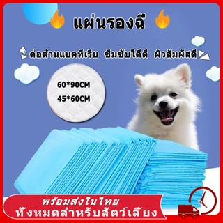 แผ่นรองฉี่สุนัข ใหญ่ แผ่นรองฉี่ ต่อต้านแบคทีเรีย ซึมซับไดีดี ผ้ารองฉี่ ถาดรองฉี่สุนัข แผ่นรองฉี่แมว ทรายแมว กักเก็บกลิ่น