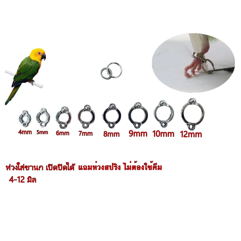 ห่วงขานก ห่วงใส่ขานก เปิด-ปิดได้ แถมแหวนสปริง2วง 4-12mm. (ห่วงเปล่าไม่มีโซ่)