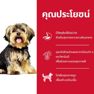 Hill’s Science Diet SMALL PAWS ADULT, 7+ SMALL BITES อาหารสุนัขพันธุ์เล็ก ขนาด 1.5kg