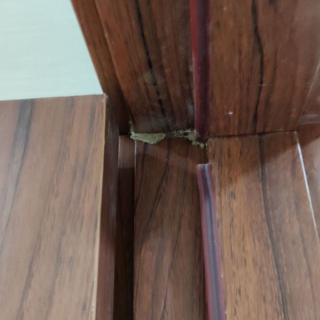 ผลิตภัณฑ์กำจัดแมลง,ปลวก โคลไดร์ท(KOLDRITE) ฟิโฟรนิล(fipronil) 10% ผสมน้ำได้ 400 เท่า - รูปที่ 2