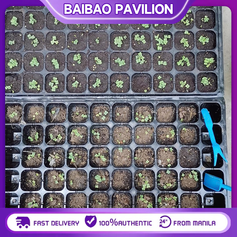 การันตีคุณภาพ 100pcs ถาดเพาะต้นอ่อน ถาดเพาะปลูกผัก ถาดเพาะเมล็ด ถาดเพาะชำ 32/50/72/105/128/200/หลุม