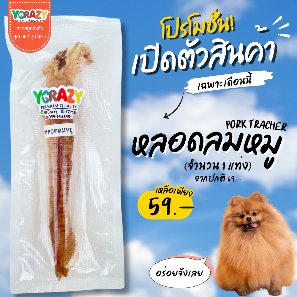 หลอดลมหมูอบแห้ง PORK TRACHER ขัดฟัน สำหรับสุนัข YCrazy 1 แท่ง