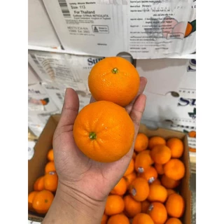 ส้มจิ๋ว🍊🍊AUS,China🍊🍊 ไร้เม็ด รสชาติเข้มข้น 500g.