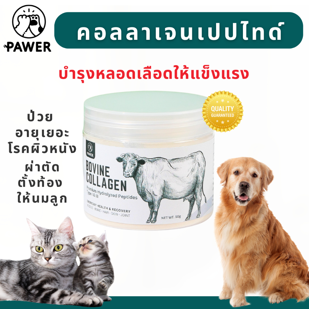 คอลลาเจนแมว สุนัข ช่วยฟื้นฟูหลังผ่าตัด บำรุงผิวหนัง ทำหมัน ตั้งท้อง ลำไส้อักเสบ collagen Type iii